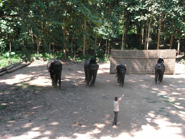 Laos 2007 294