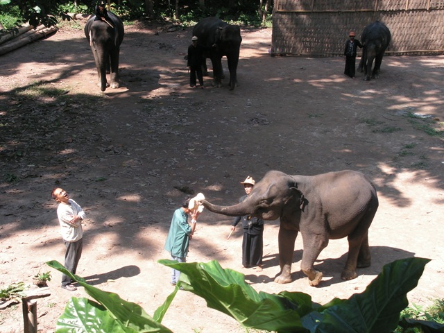 Laos 2007 296