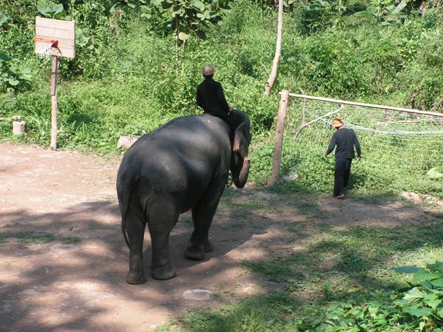 Laos 2007 300
