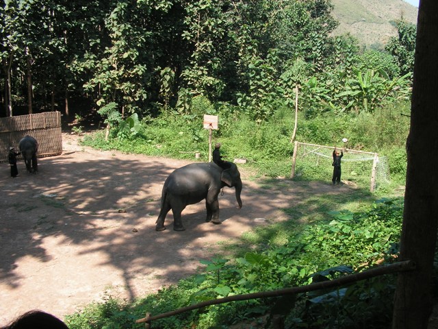 Laos 2007 301