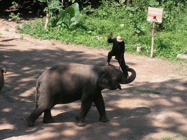 Laos 2007 303