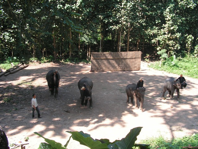 Laos 2007 304
