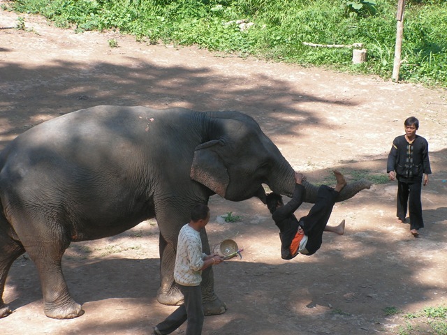 Laos 2007 306